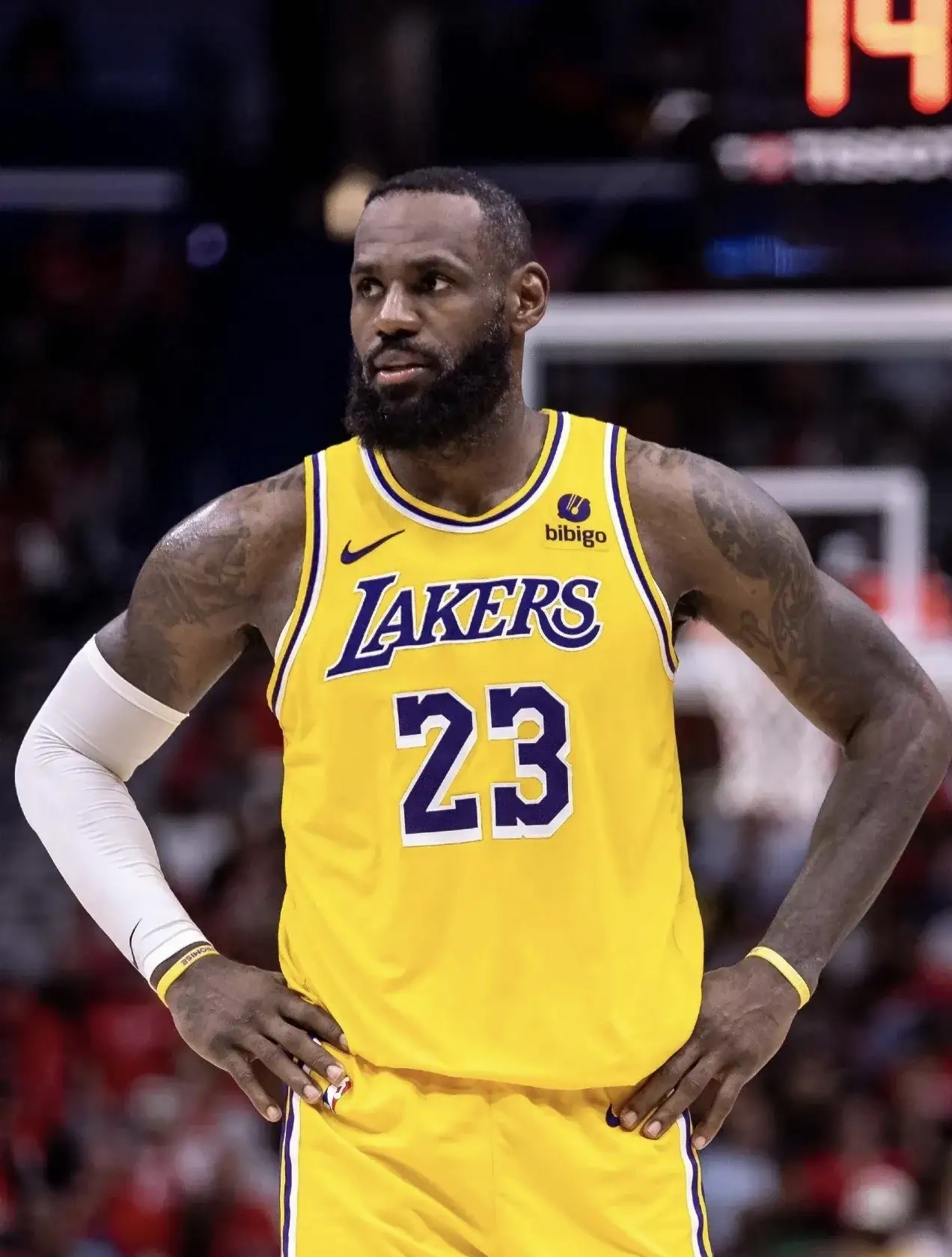 关于詹姆斯新星挺进下一轮表现惊艳，法国队未来可期！的信息